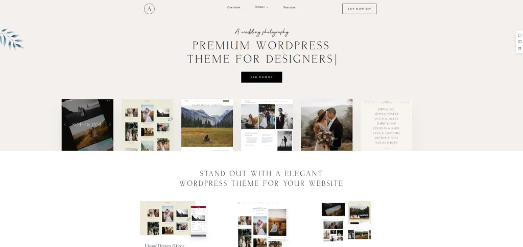 Artale WordPress Wedding Photography Theme