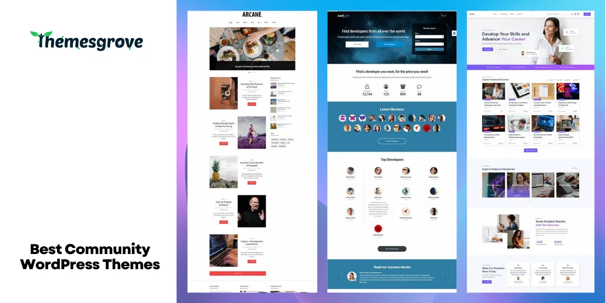 Best Community WordPress Themes