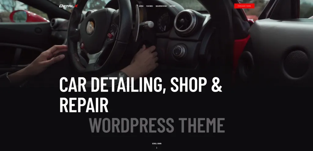 DetailX wp theme