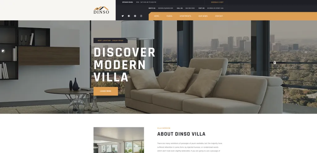 Dinso wp theme