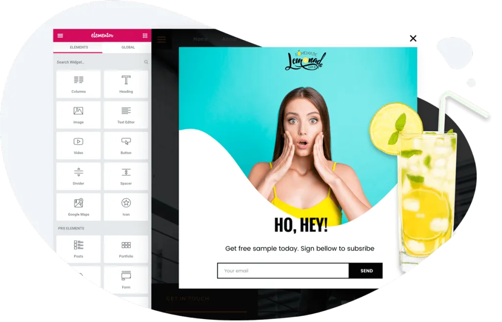 Elementor popup builder plugin