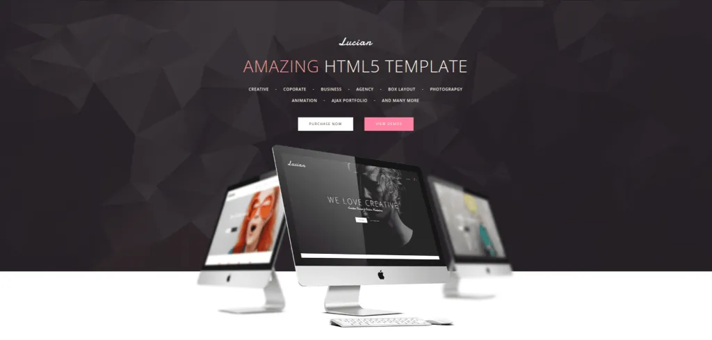 Lucian $5 WordPress Themes
