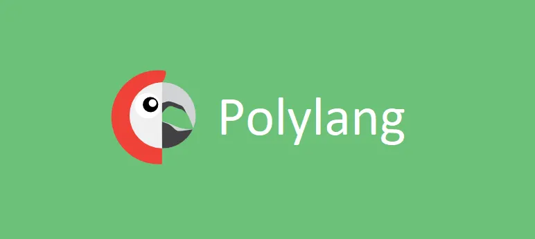 Multilingual WordPress Website