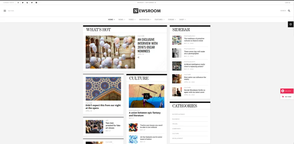 Newsroom Journalist WordPress Theme