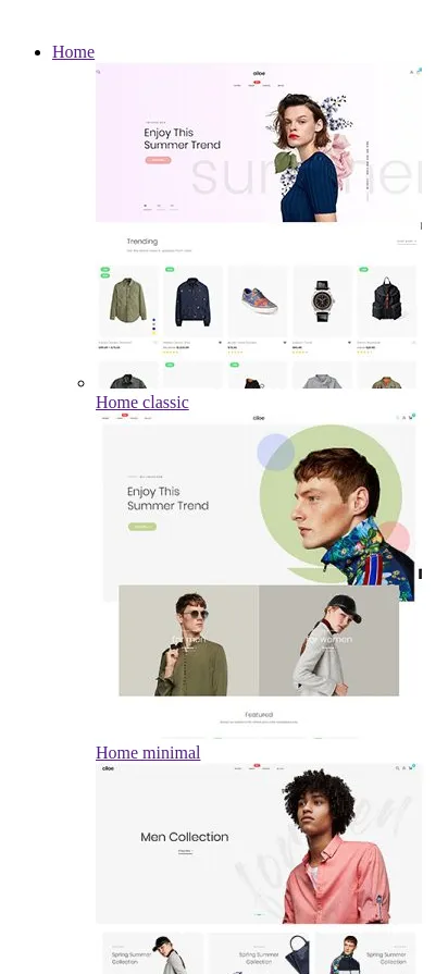 Siloe Fastest ecommerce WordPress Themes