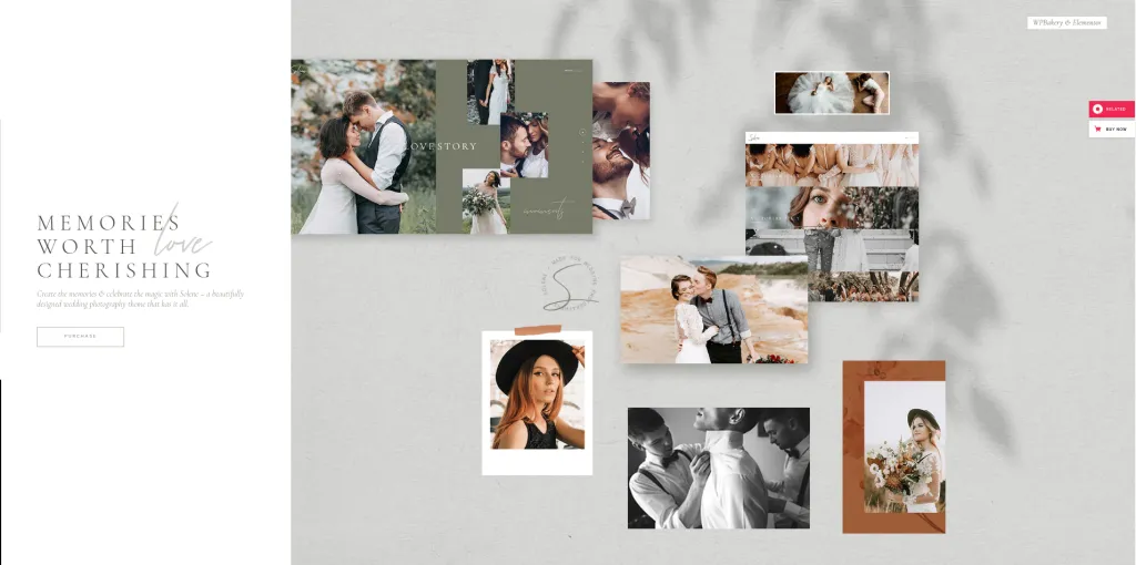 Solene WP Themes
