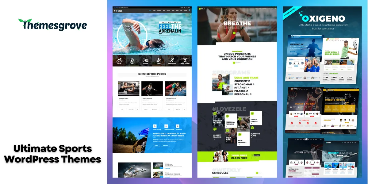 Ultimate Sports WordPress Themes