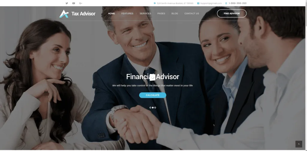Tax Advisor 