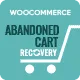 WooCommerce Abandoned Cart Recovery icon