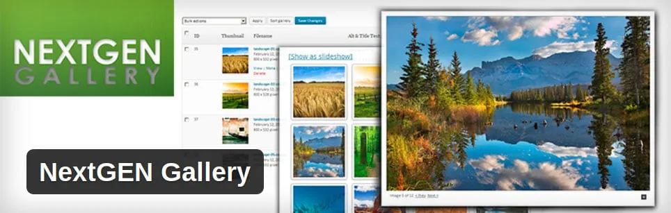 Nextgen Gallery Review