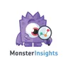 MonsterInsights icon